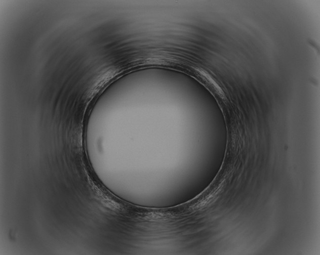X0000092320938200710051254
