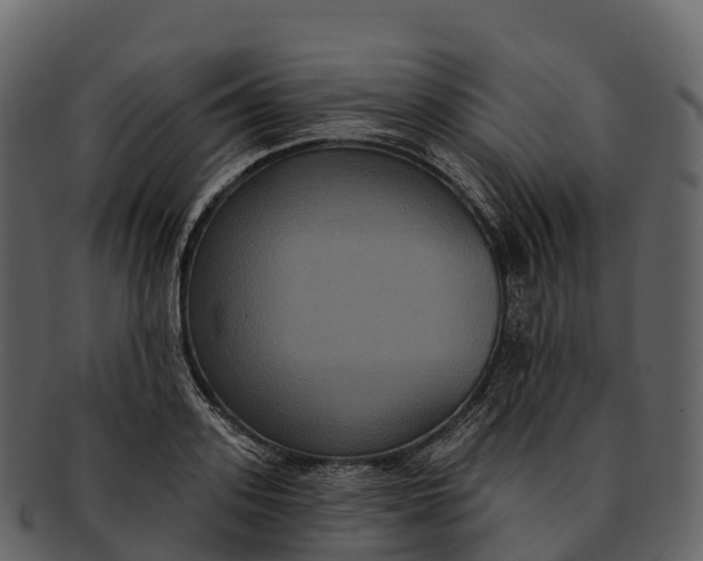 X0000092320939200710051254
