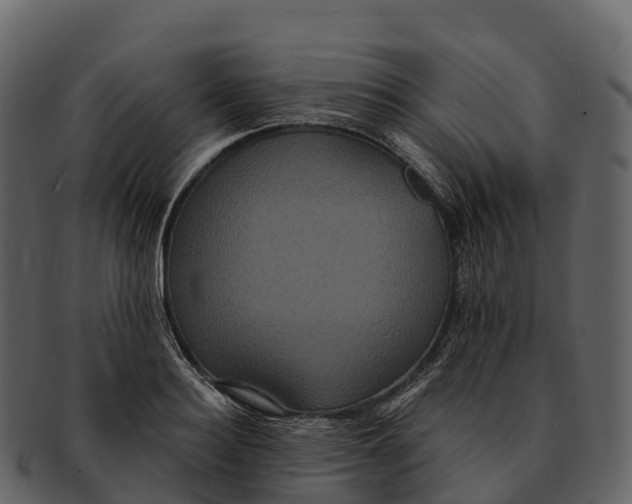 X0000092320940200710051254