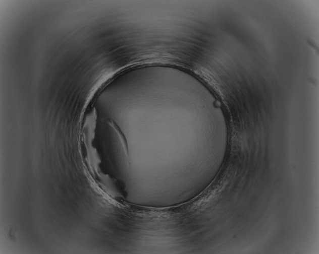X0000092320941200710051254