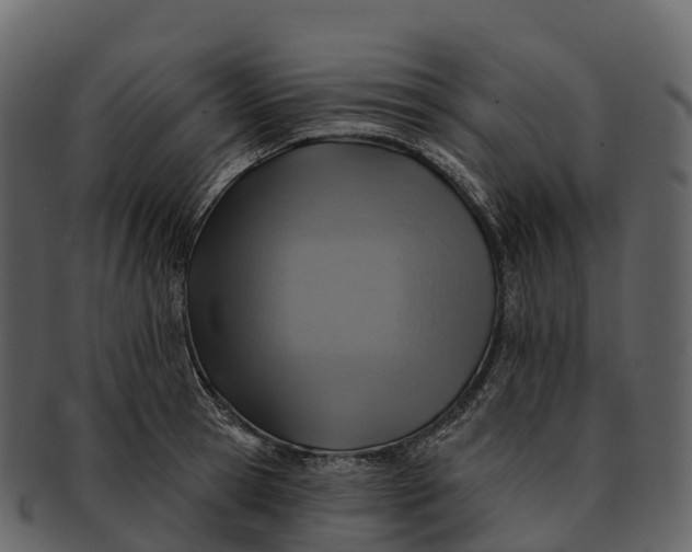 X0000092320945200710051254