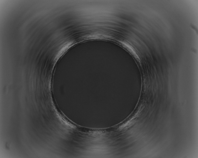 X0000092320946200710051254