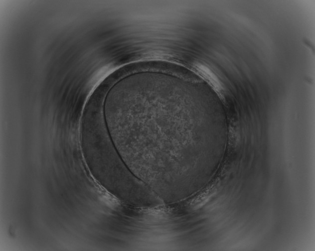 X0000092320948200710051254