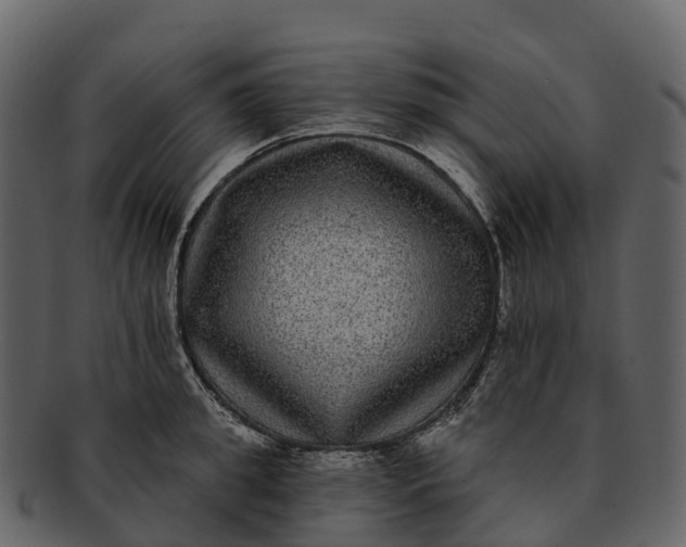 X0000092320949200710051254