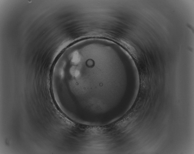 X0000092320950200710051254