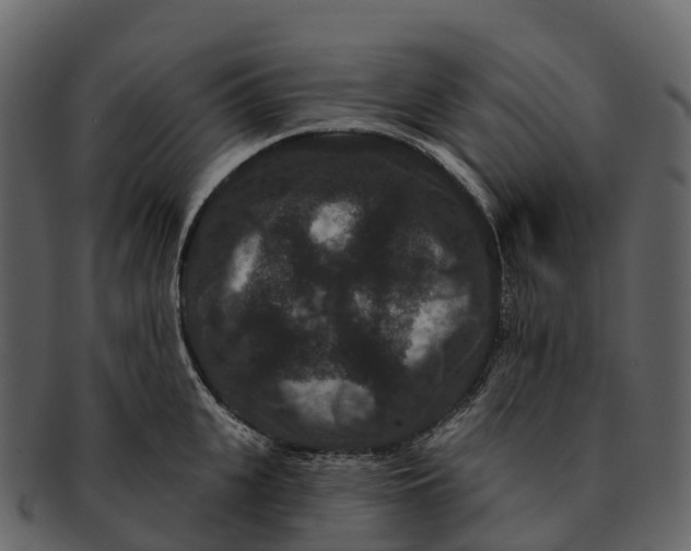 X0000092320951200710051254