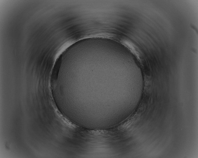 X0000092320952200710051254