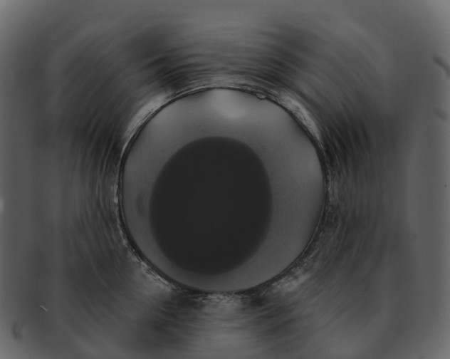 X0000092320954200710051254