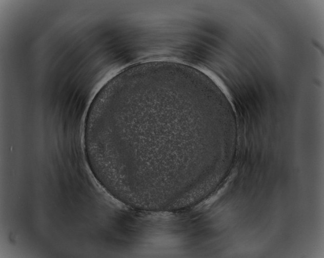 X0000092320957200710051254