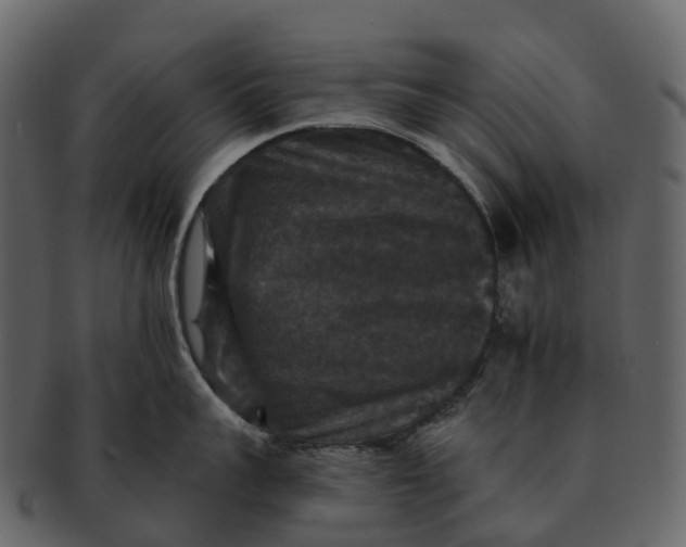 X0000092320959200710051254