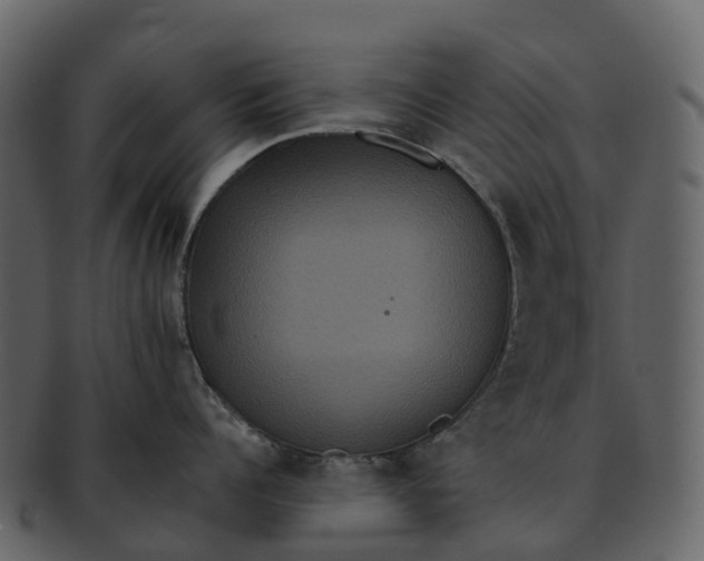 X0000092320960200710051254