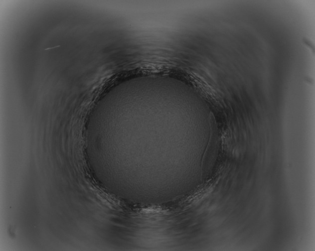 X0000092320961200710051254