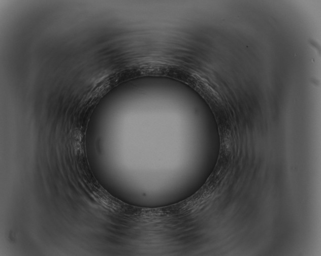 X0000092320964200710051254