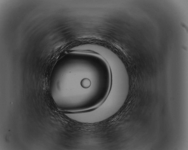 X0000092320965200710051254