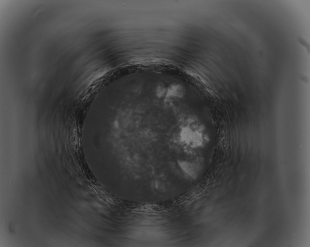 X0000092320966200710051254