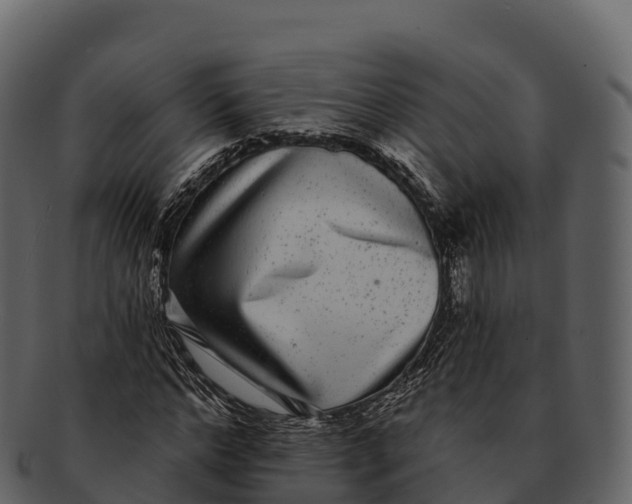 X0000092320968200710051253