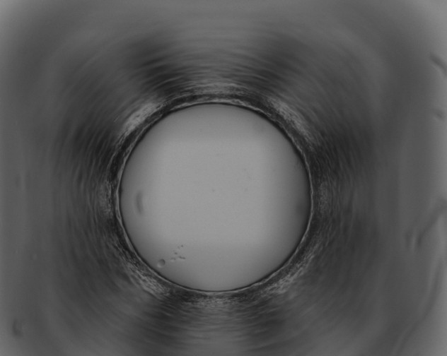 X0000092320970200710051253