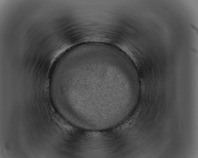 X0000092320971200710051253