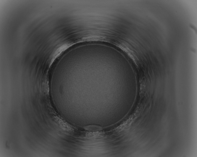 X0000092320973200710051253