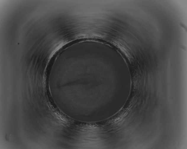 X0000092320975200710051253