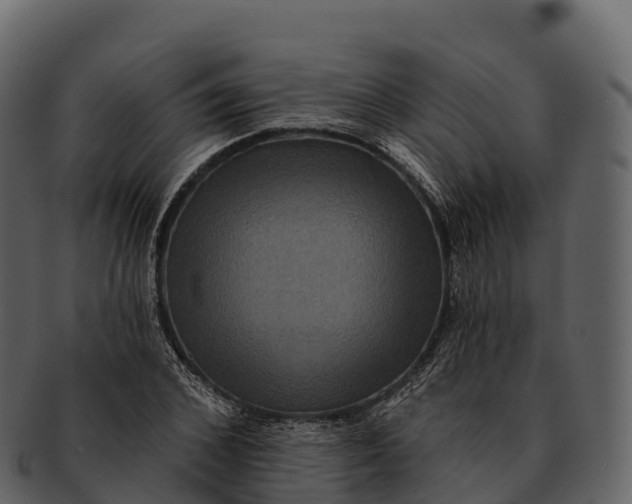 X0000092320976200710051253