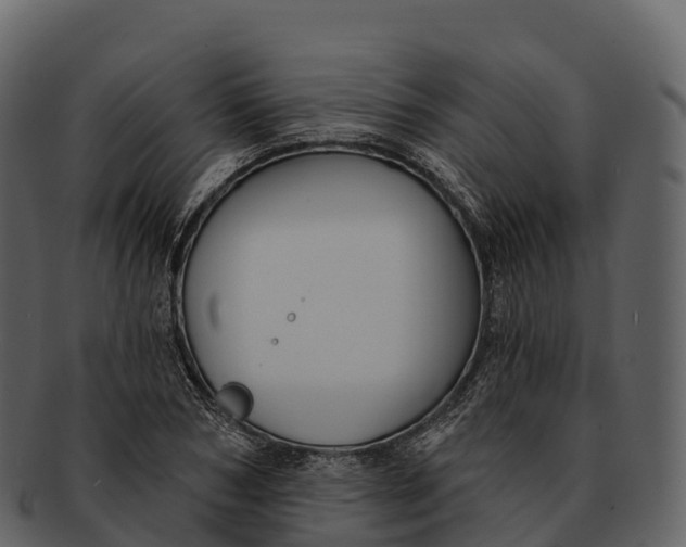X0000092320978200710051253