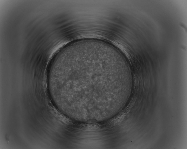X0000092320979200710051253