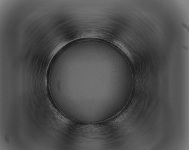 X0000092320980200710051253