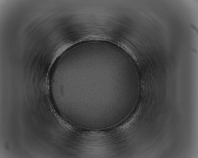 X0000092320981200710051253