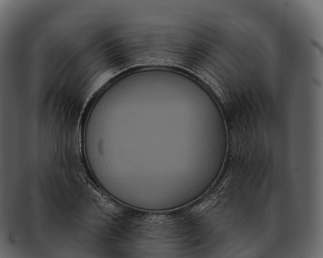 X0000092320982200710051253