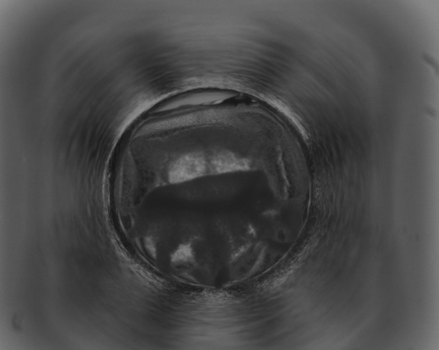 X0000092320983200710051253