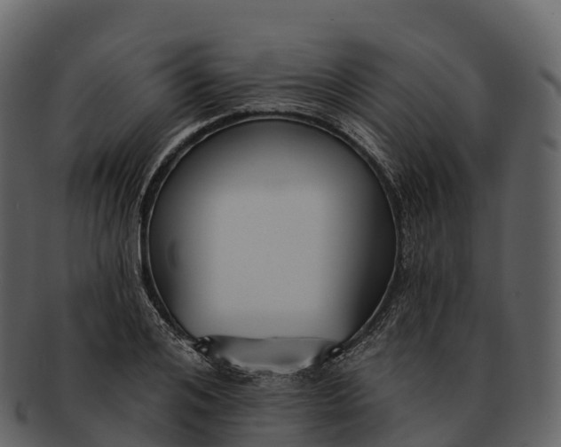 X0000092320984200710051253