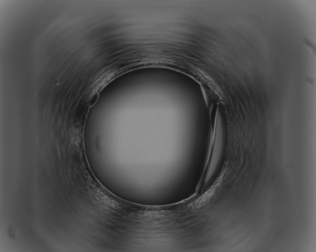 X0000092320985200710051253