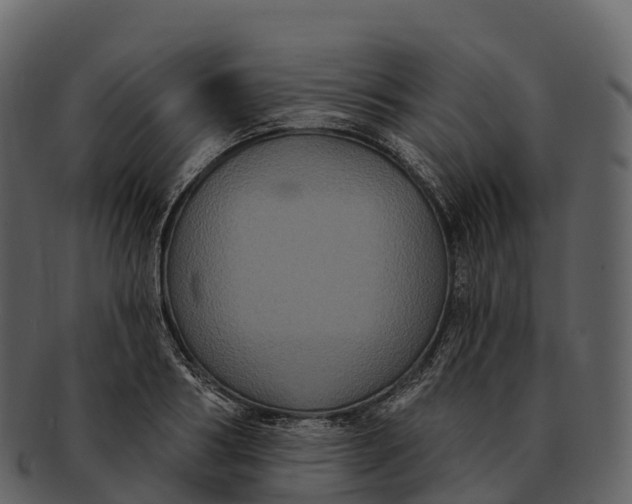 X0000092320986200710051253