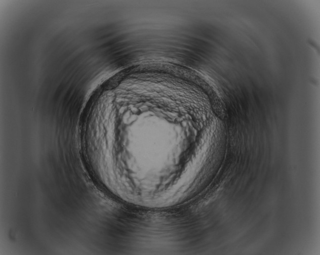X0000092320987200710051253
