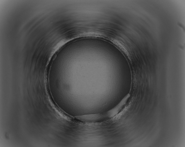 X0000092320989200710051253