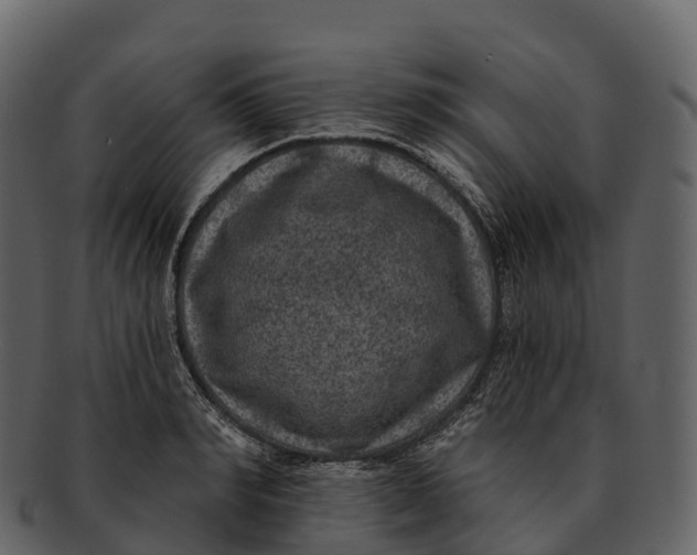 X0000092320990200710051253