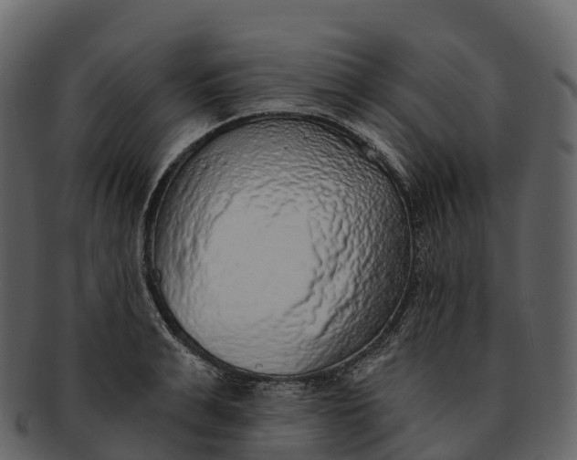 X0000092320991200710051253