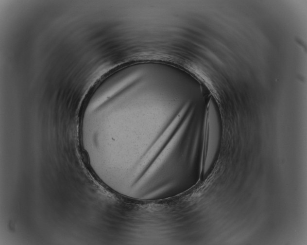X0000092320992200710051253