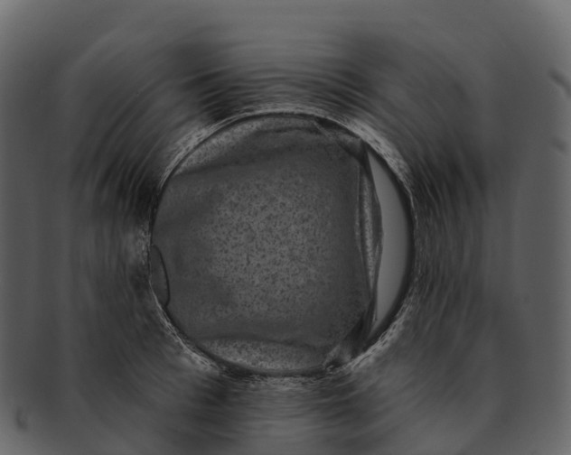 X0000092320993200710051253