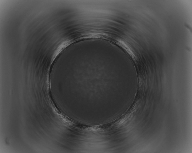 X0000092320994200710051253