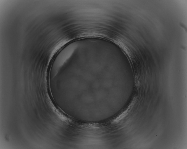 X0000092320995200710051253