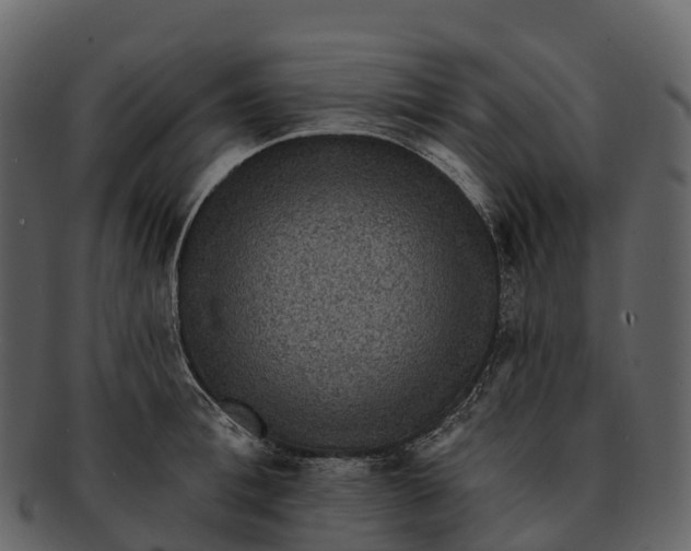 X0000092320996200710051253