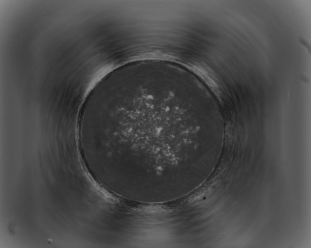 X0000092320998200710051253