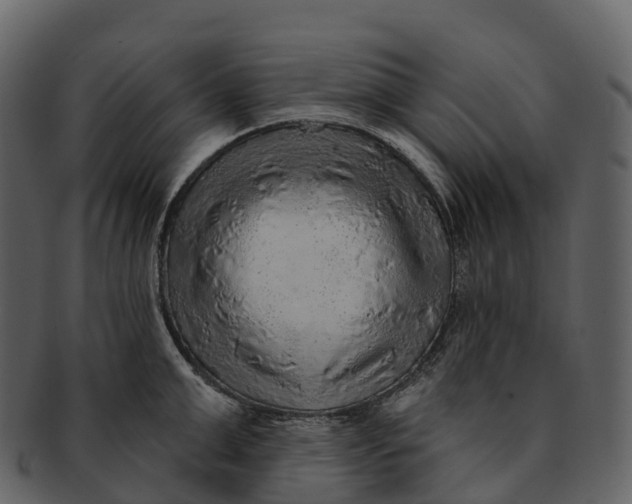 X0000092320999200710051253