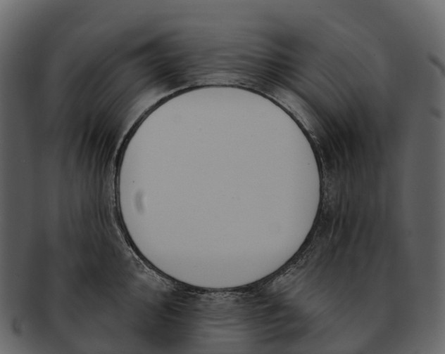 X0000092321000200710051253