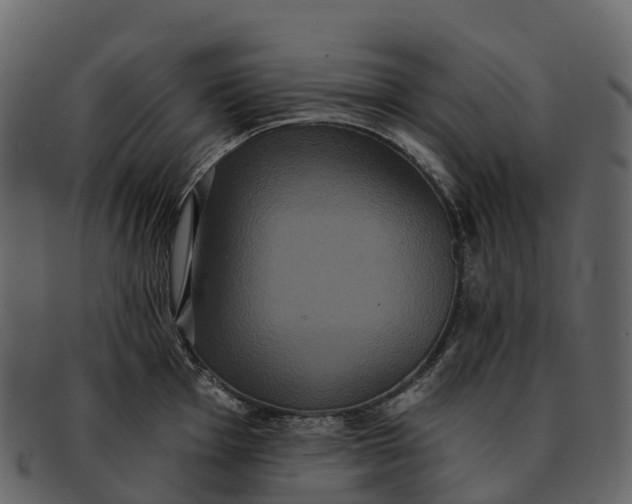X0000092321001200710051253