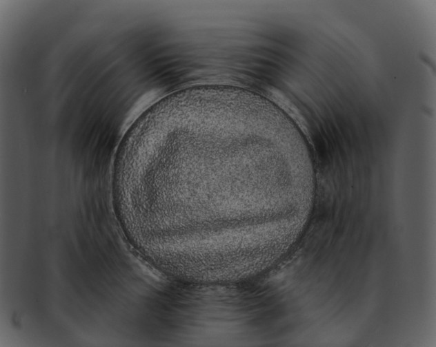 X0000092321002200710051253