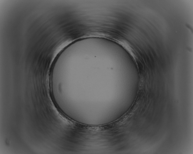 X0000092321003200710051253