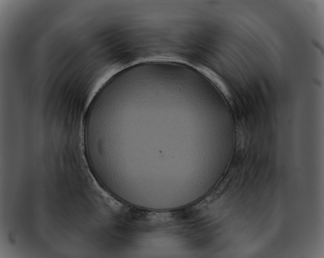 X0000092321006200710051253
